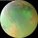 ./images/calvert/underwater/20260813/underwater20260813_093501M.jpg