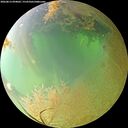 ./images/calvert/underwater/20260813/underwater20260813_094001M.jpg