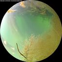 ./images/calvert/underwater/20260813/underwater20260813_094501M.jpg