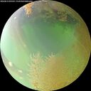 ./images/calvert/underwater/20260813/underwater20260813_095501M.jpg
