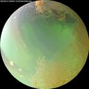./images/calvert/underwater/20260813/underwater20260813_100002M.jpg