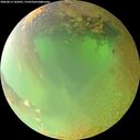 ./images/calvert/underwater/20260813/underwater20260813_102001M.jpg
