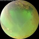 ./images/calvert/underwater/20260813/underwater20260813_102501M.jpg