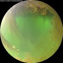 ./images/calvert/underwater/20260813/underwater20260813_103002M.jpg
