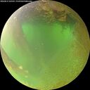 ./images/calvert/underwater/20260813/underwater20260813_103501M.jpg