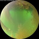 ./images/calvert/underwater/20260813/underwater20260813_104001M.jpg