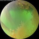 ./images/calvert/underwater/20260813/underwater20260813_105502M.jpg