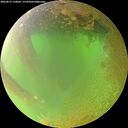 ./images/calvert/underwater/20260813/underwater20260813_110001M.jpg
