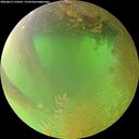 ./images/calvert/underwater/20260813/underwater20260813_110501M.jpg