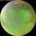 ./images/calvert/underwater/20260813/underwater20260813_111501M.jpg