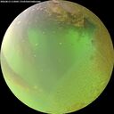 ./images/calvert/underwater/20260813/underwater20260813_112002M.jpg