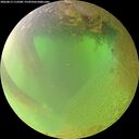 ./images/calvert/underwater/20260813/underwater20260813_112501M.jpg