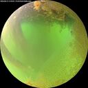 ./images/calvert/underwater/20260813/underwater20260813_113501M.jpg