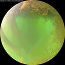./images/calvert/underwater/20260813/underwater20260813_114501M.jpg