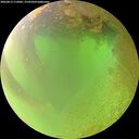 ./images/calvert/underwater/20260813/underwater20260813_115002M.jpg