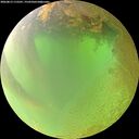 ./images/calvert/underwater/20260813/underwater20260813_115501M.jpg
