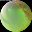 ./images/calvert/underwater/20260813/underwater20260813_120001M.jpg
