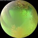 ./images/calvert/underwater/20260813/underwater20260813_121001M.jpg