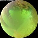 ./images/calvert/underwater/20260813/underwater20260813_121501M.jpg