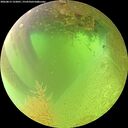 ./images/calvert/underwater/20260813/underwater20260813_122001M.jpg