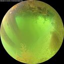 ./images/calvert/underwater/20260813/underwater20260813_122501M.jpg