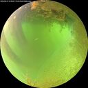 ./images/calvert/underwater/20260813/underwater20260813_123001M.jpg