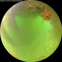 ./images/calvert/underwater/20260813/underwater20260813_123501M.jpg