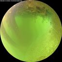 ./images/calvert/underwater/20260813/underwater20260813_124001M.jpg