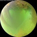 ./images/calvert/underwater/20260813/underwater20260813_130501M.jpg