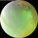 ./images/calvert/underwater/20260813/underwater20260813_131002M.jpg
