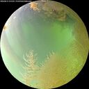 ./images/calvert/underwater/20260813/underwater20260813_131501M.jpg