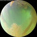 ./images/calvert/underwater/20260813/underwater20260813_132002M.jpg