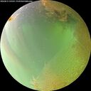 ./images/calvert/underwater/20260813/underwater20260813_132501M.jpg