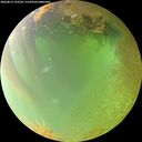 ./images/calvert/underwater/20260813/underwater20260813_133501M.jpg