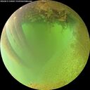 ./images/calvert/underwater/20260813/underwater20260813_134001M.jpg