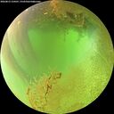 ./images/calvert/underwater/20260813/underwater20260813_134501M.jpg