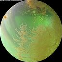./images/calvert/underwater/20260813/underwater20260813_135002M.jpg
