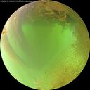 ./images/calvert/underwater/20260813/underwater20260813_140501M.jpg