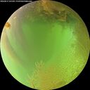 ./images/calvert/underwater/20260813/underwater20260813_141501M.jpg