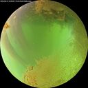 ./images/calvert/underwater/20260813/underwater20260813_142002M.jpg