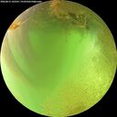 ./images/calvert/underwater/20260813/underwater20260813_142501M.jpg