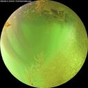 ./images/calvert/underwater/20260813/underwater20260813_143502M.jpg