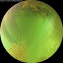 ./images/calvert/underwater/20260813/underwater20260813_144001M.jpg