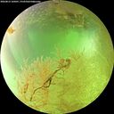 ./images/calvert/underwater/20260813/underwater20260813_145001M.jpg