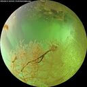 ./images/calvert/underwater/20260813/underwater20260813_145501M.jpg