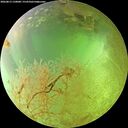 ./images/calvert/underwater/20260813/underwater20260813_150001M.jpg