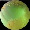 ./images/calvert/underwater/20260813/underwater20260813_150501M.jpg