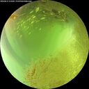 ./images/calvert/underwater/20260813/underwater20260813_151001M.jpg