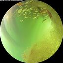 ./images/calvert/underwater/20260813/underwater20260813_151502M.jpg