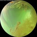 ./images/calvert/underwater/20260813/underwater20260813_152001M.jpg